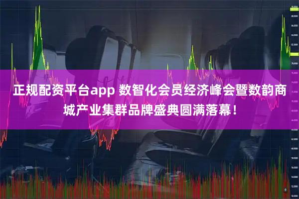 正规配资平台app 数智化会员经济峰会暨数韵商城产业集群品牌盛典圆满落幕！