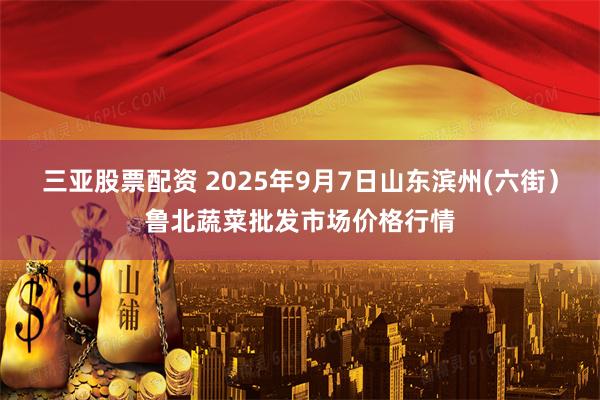 三亚股票配资 2025年9月7日山东滨州(六街）鲁北蔬菜批发市场价格行情
