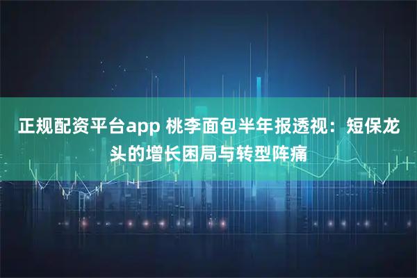 正规配资平台app 桃李面包半年报透视：短保龙头的增长困局与转型阵痛
